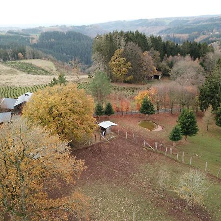 Le Brocard Des Fagnes - 16 Pers Malmedy Villa Buitenkant foto